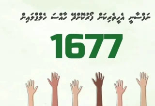 ÞÞ¬ÞÞ°ÞÞ°-1751871066644